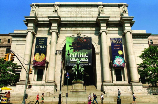 Amerykańskie Muzeum Historii Naturalnej - zdjęcie