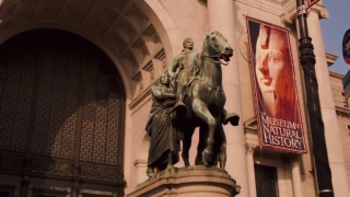 Noc w Muzeum - zdjęcie