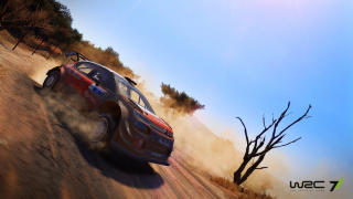 WRC 7