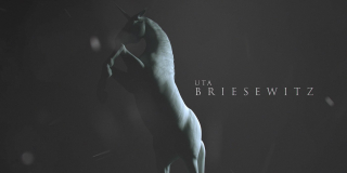 Wiedźmin - fanowska grafika obrazująca intro serialu Netflixa