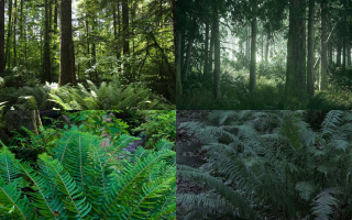 The Last of Us II z akcją w Seattle?