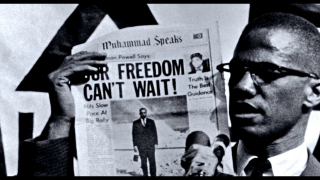 foto. materiały prasowe