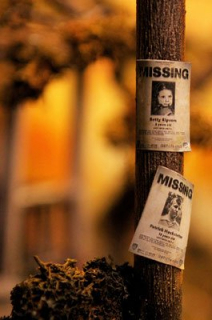 Welcome to Derry - zdjęcie modelu