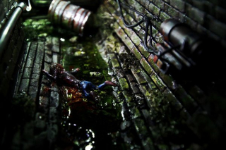 Welcome to Derry - zdjęcie modelu