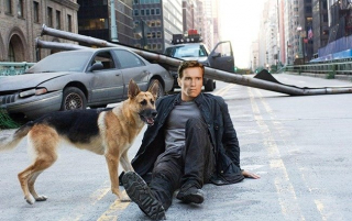 Arnold Schwarzenegger - Robert Neville (Jestem legendą)