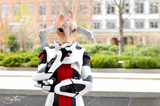 Mordin