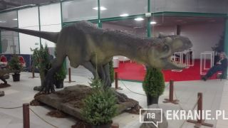 Warsaw Comic Con Fall Edition 2017