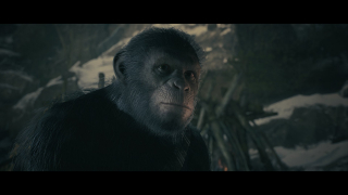 Planet of the Apes Last Frontier