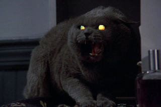 W sekwencji powrotu Supermana do żywych Flash mówi o "Cmętarzu zwieżąt" - to nawiązanie do powieści Stephena Kinga i opartego na jej podstawie filmu, w którym wracające do świata zwierzęta nie do końca były istotami podobnymi do siebie sprzed swojej śmierci