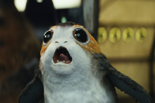 Gwiezdne Wojny: ostatni Jedi - zdjęcie