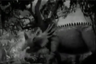 Do wydania DVD King Konga z 2005 roku trafiła wspomniana wcześniej scena z pająkami - jest ona połączeniem materiału archiwalnego i nowych ujęć kręconych z użyciem tych samych makiet