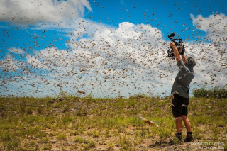 Istnieje blisko 400 terabajtów materiału wideo - to ekwiwalent 82 tysięcy płyt DVD