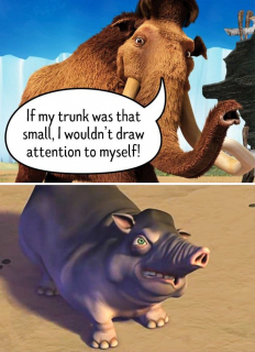 Rozmair trąby ma znaczenie