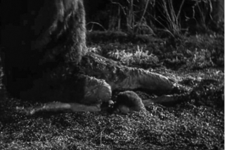 Scena, w której Kong zrywa sukienkę z Ann, razem z kilkoma innymi została dodana do filmu dopiero w 1971 roku, po wprowadzeniu nowych regulacji dotyczących cenzury