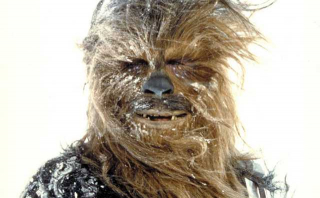 Chewbacca