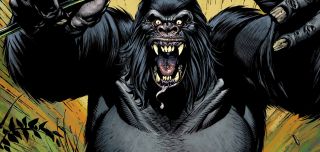 Goryl Grodd