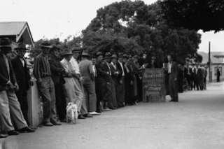 W filmie z 1933 roku widzimy scenę, w której jedna z osób czekających w kolejce na zobaczenie Konga mówi, że bilet kosztował ją 20 dolarów - w 1933 roku dla ogromnej części zmagających się z krachem finansowym Amerykanów był to nie lada wydatek (jego dzisiejsza równowartość po uwzględnieniu inflacji to 375 dolarów)
