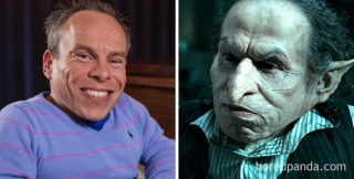 Warwick Davis - Gryfek, Harry Potter