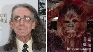 Peter Mayhew - Chewbacca, Gwiezdne wojny