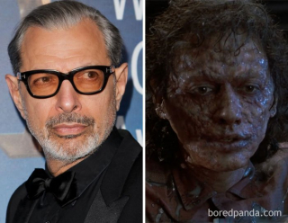 Jeff Goldblum - Seth Brundle, Mucha