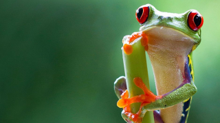 Muzykę do programu skomponował Hans Zimmer