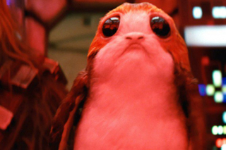 Porg
