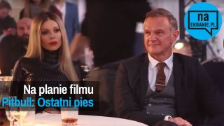 Pitbull. Ostatni pies