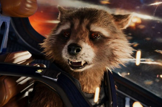 Rocket Raccoon