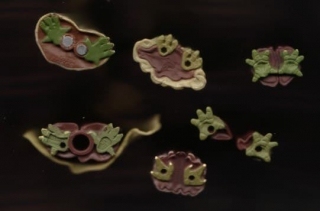 Nigdy do końca nie ustalono, ile Yoda ma palców u stóp