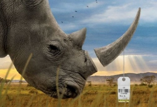 52. Trophy - 98%/44 recenzje