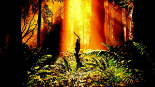 Shadow of the Colossus - tryb fotograficzny