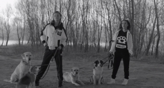 SNL Polska