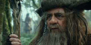 14. Radagast Brązowy – jeden z pięciu Istarich, którzy przybyli do Śródziemia, by pomóc w walce z Sauronem; wcześniej znany jako jeden z Majarów, Aiwendil