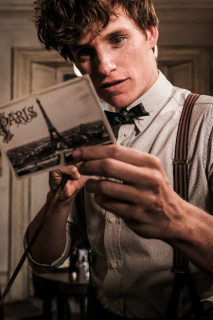 Fantastic Beasts: The Crimes of Grindelwald - zdjęcie