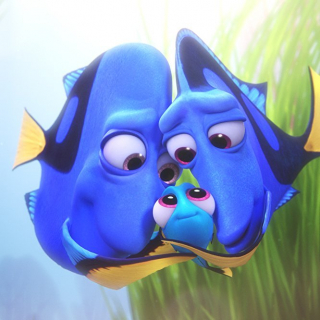 Gdzie jest Dory