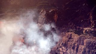 Monster Hunter: World_20180124110906