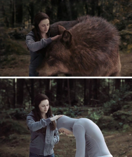 Saga Zmierzch Zaćmienie