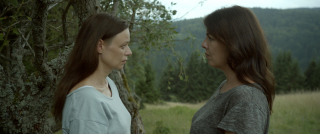 Wieża. Jasny dzień - zdjęcie