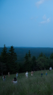 Wieża. Jasny dzień - zdjęcie