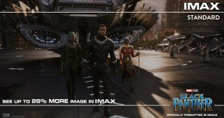 Czarna Pantera - obraz IMAX