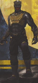 Czarna Pantera - Grafika koncepcyjna