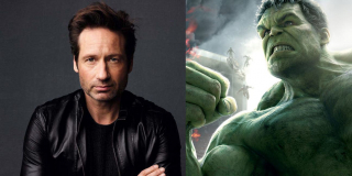 David Duchovny - Bruce Banner/Hulk