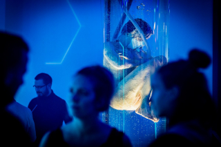 Altered Carbon - pawilon w Warszawie