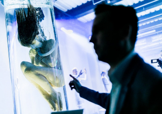 Altered Carbon - pawilon w Warszawie