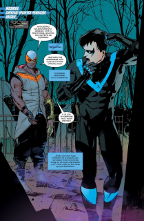 Nightwing #01. Lepszy niż Batman - plansza