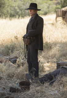 Westworld - zdjęcie z 2. sezonu