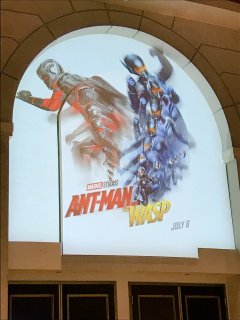 Ant-Man i Osa