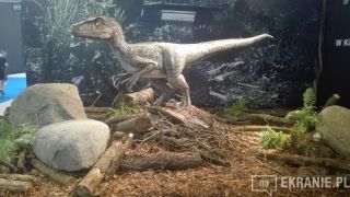 Warsaw Comic Con 2018