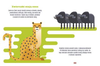 Włącz demokrację - plansza