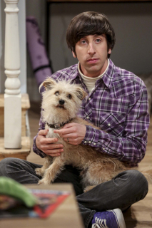 Teoria wielkiego podrywu - zdjęcie z finałowego odcinka 11. sezonu